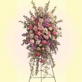 Picture for category Opening / Congratulatory Stand