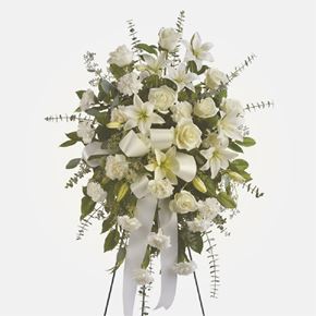 Picture for category Condolence Stand